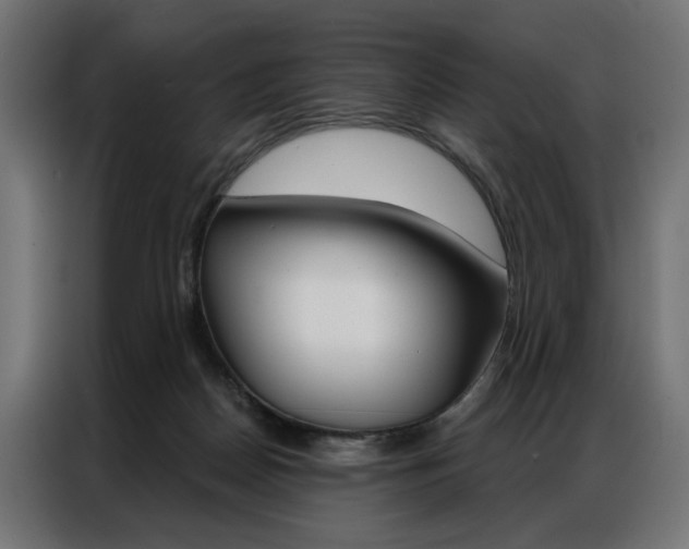 X0000086950170200704161105