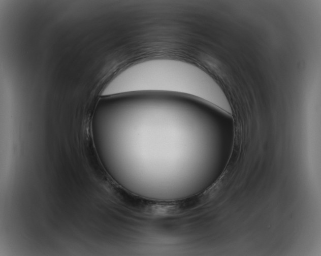X0000086950172200704161105