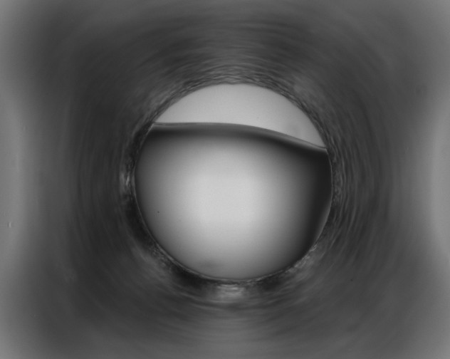 X0000086950176200704161105