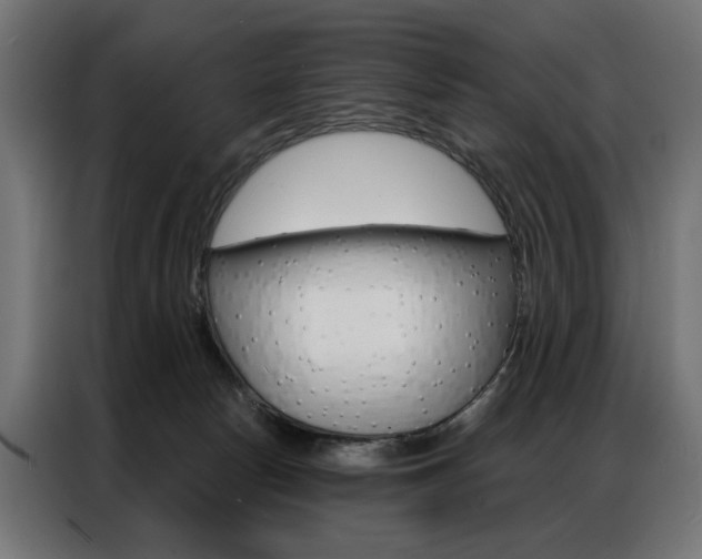 X0000086950178200704161105