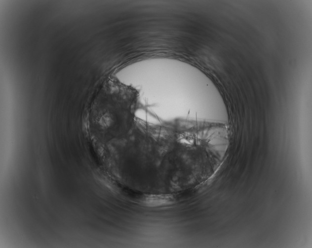 X0000086950179200704161105