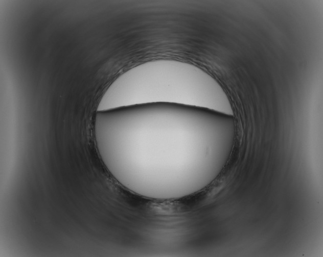 X0000086950181200704161105