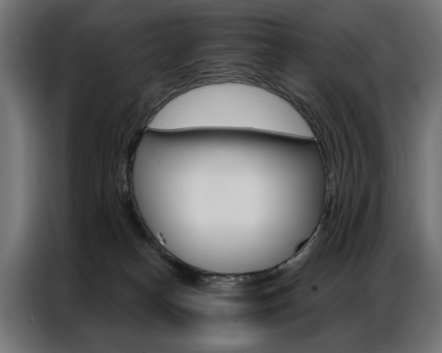X0000086950182200704161105