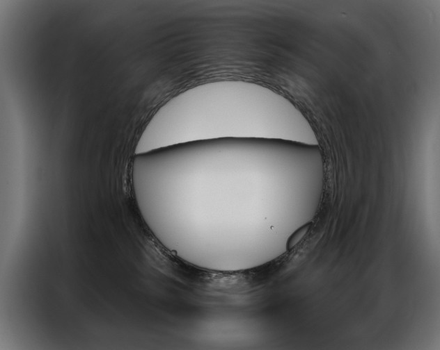 X0000086950185200704161105