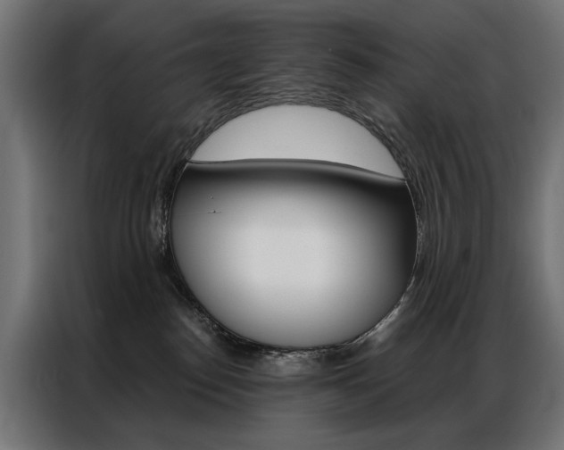 X0000086950186200704161105