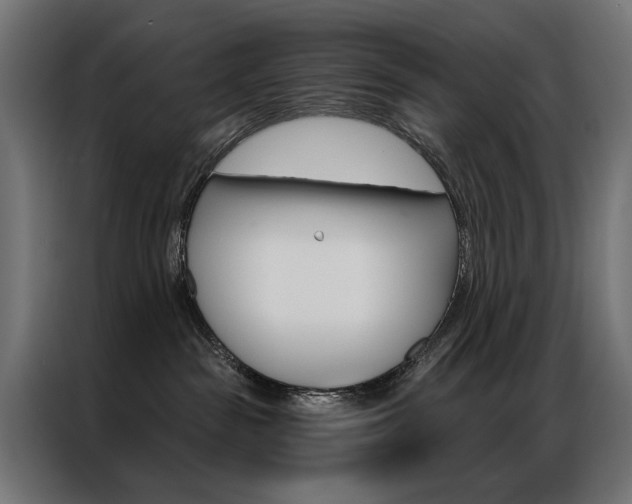 X0000086950189200704161105