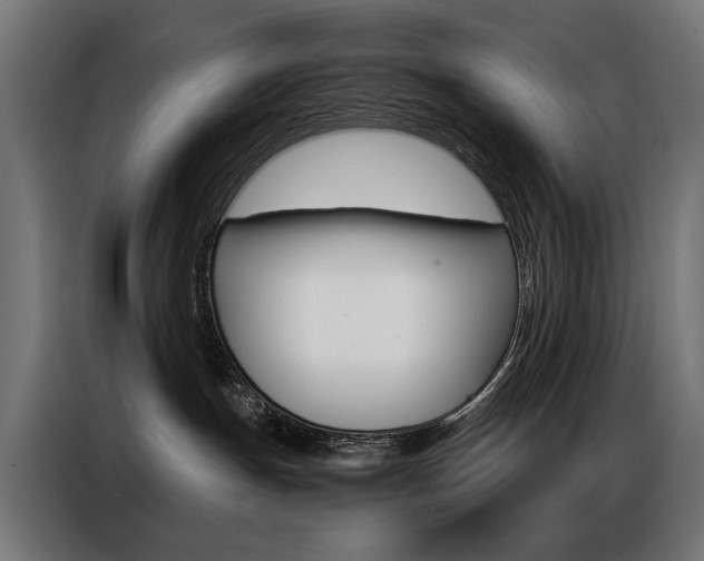 X0000086950191200704161105