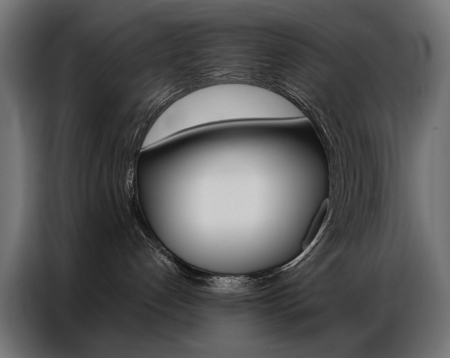 X0000086950192200704161105