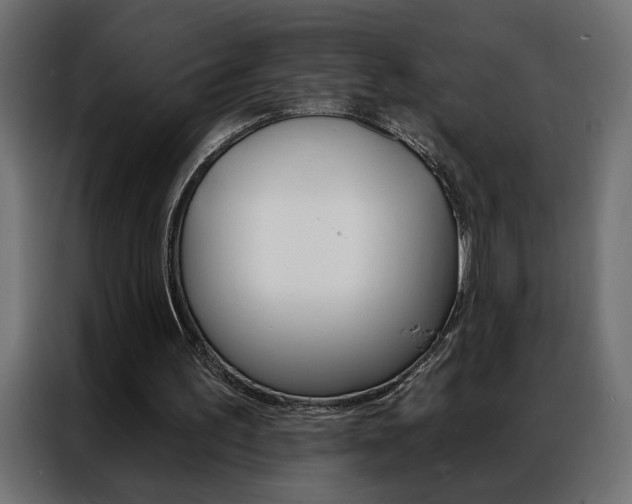 X0000086950195200704161104