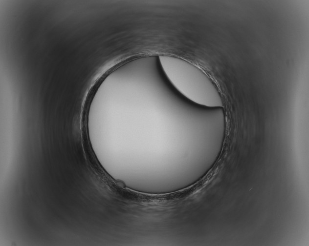 X0000086950196200704161104