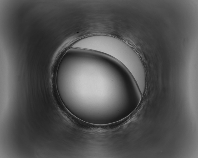 X0000086950197200704161104