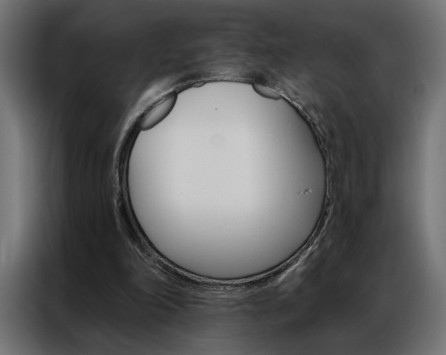 X0000086950198200704161104