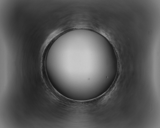 X0000086950199200704161104