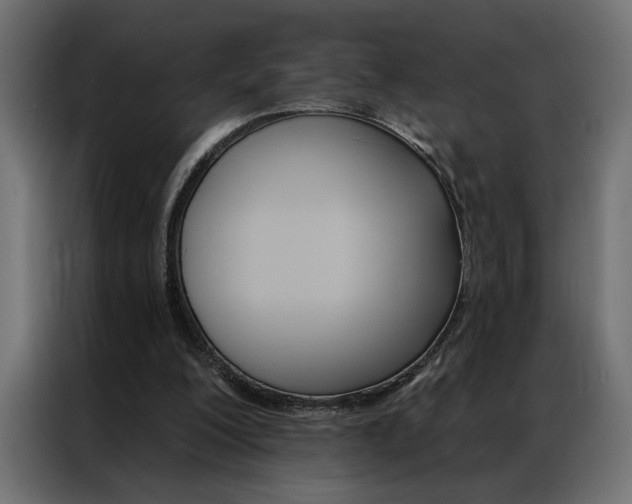 X0000086950200200704161104