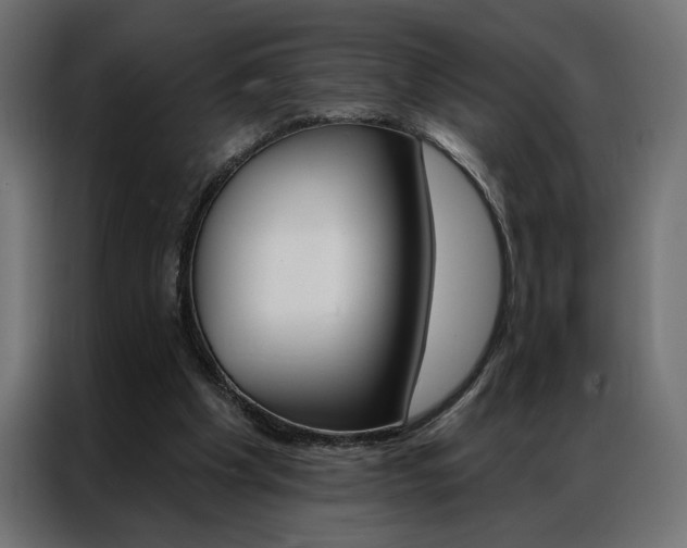 X0000086950201200704161104
