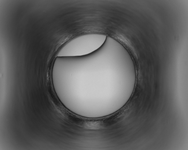 X0000086950202200704161104