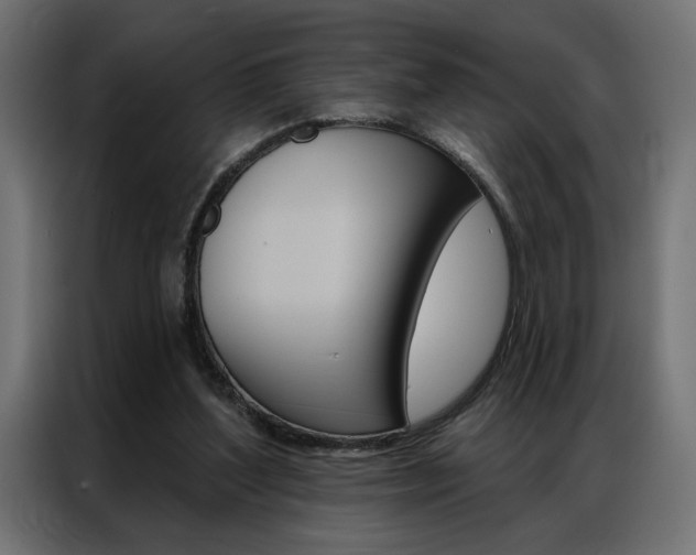X0000086950204200704161104