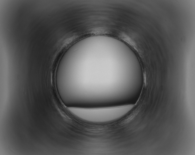 X0000086950205200704161104