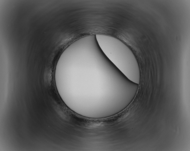 X0000086950206200704161104