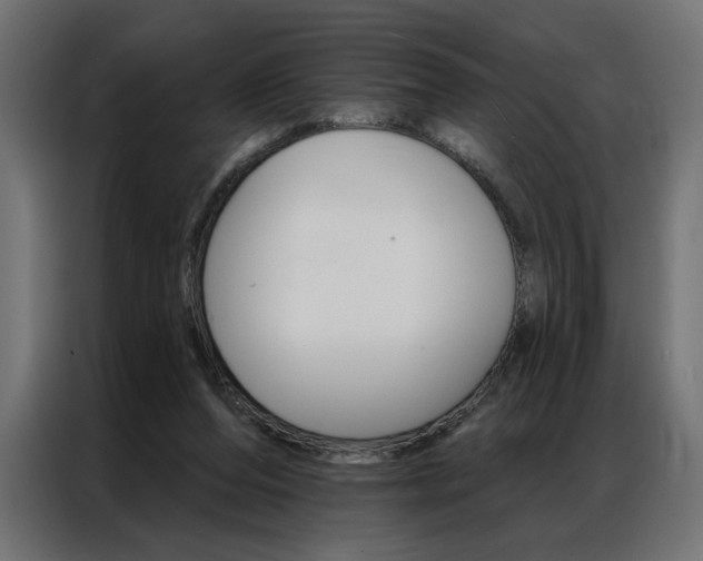 X0000086950208200704161104