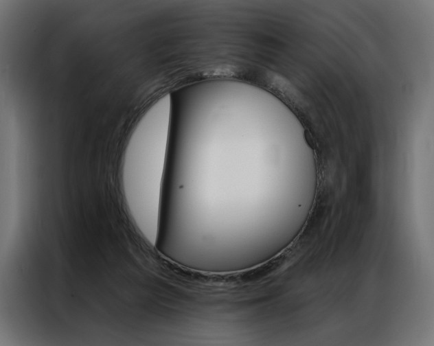 X0000086950209200704161104