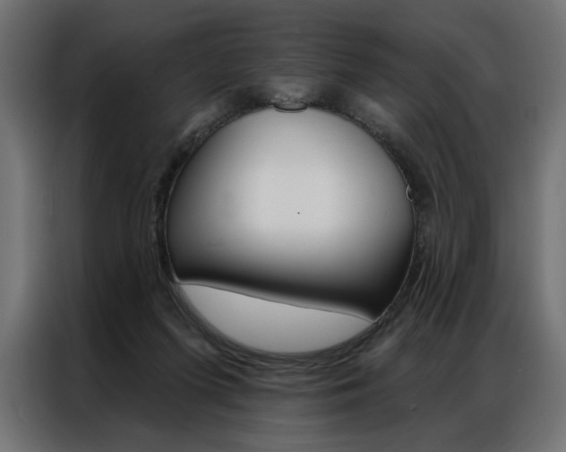 X0000086950215200704161104