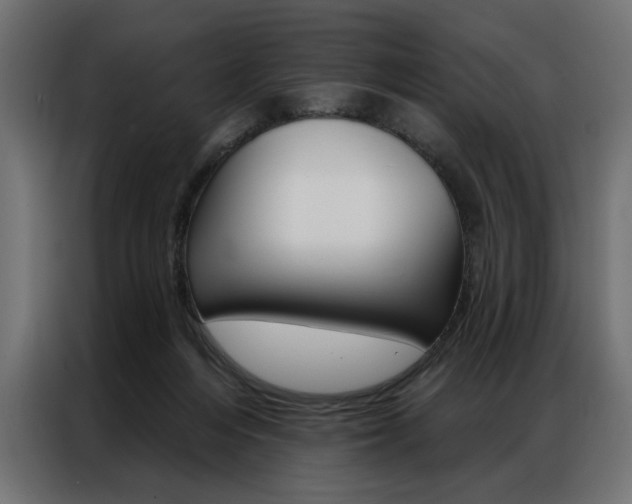 X0000086950216200704161104