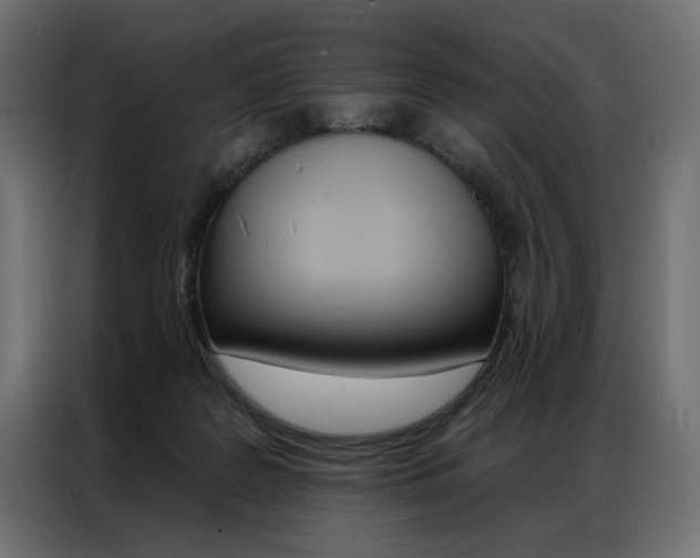X0000086950219200704161104
