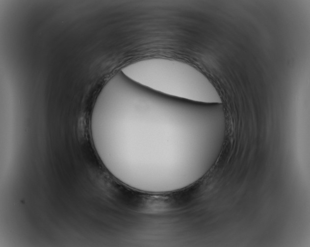 X0000086950222200704161104
