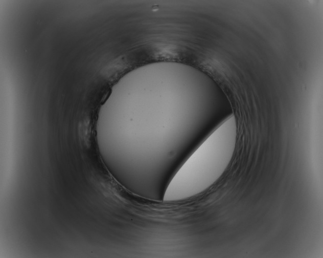 X0000086950223200704161104