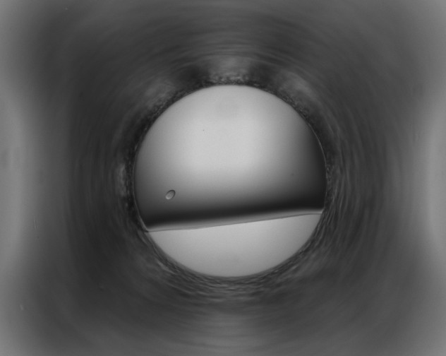 X0000086950224200704161104