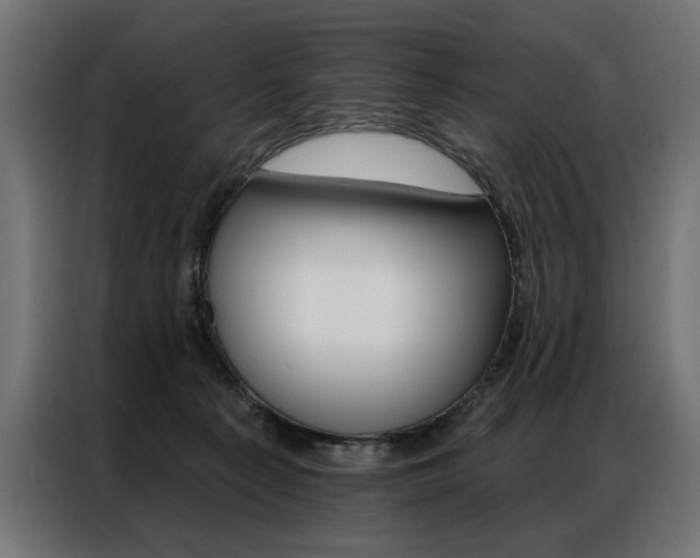 X0000086950225200704161104