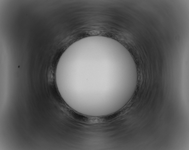 X0000086950226200704161104