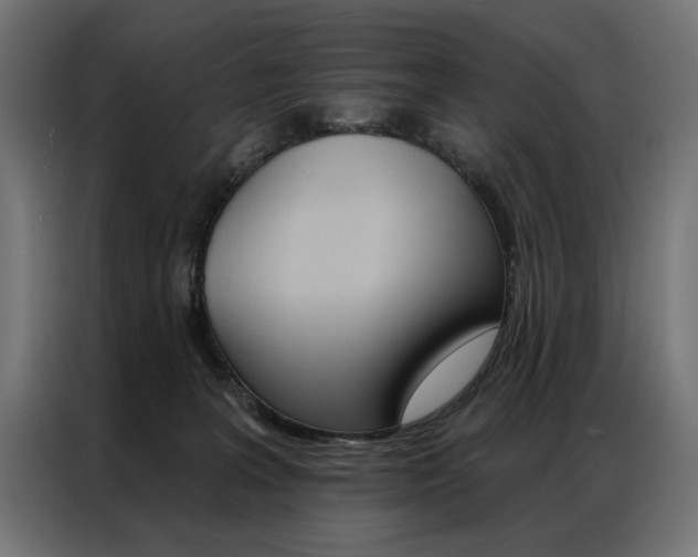 X0000086950227200704161104
