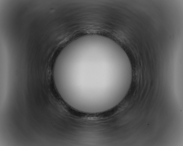 X0000086950228200704161104