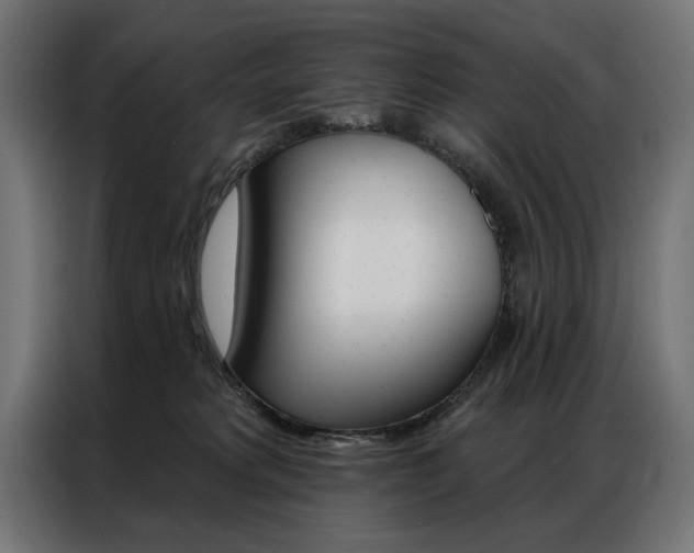 X0000086950229200704161104