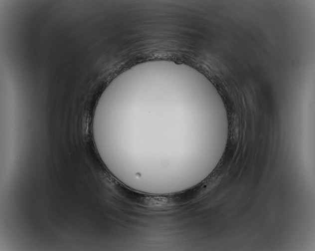 X0000086950230200704161104