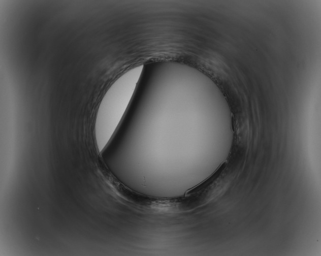 X0000086950231200704161104