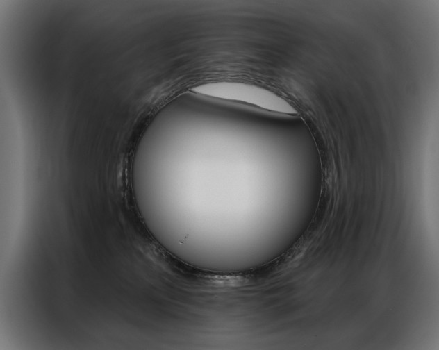 X0000086950233200704161104