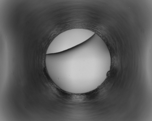 X0000086950234200704161104