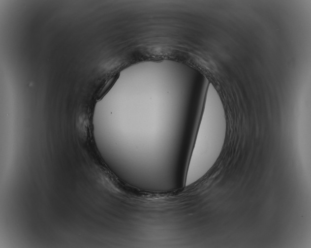X0000086950235200704161104