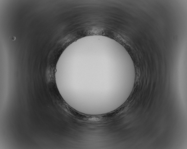 X0000086950236200704161104