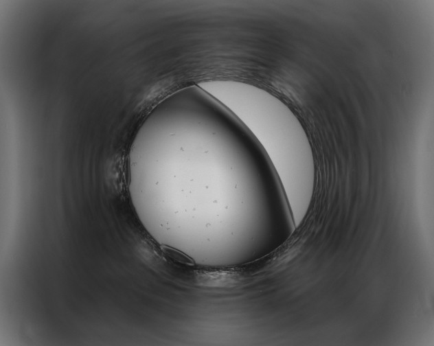 X0000086950237200704161104