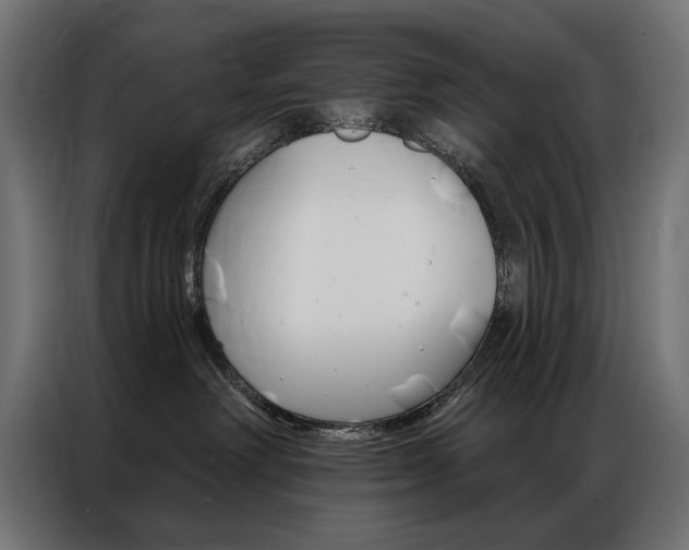 X0000086950238200704161104