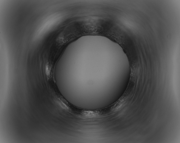 X0000086950239200704161104