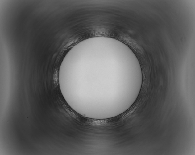 X0000086950240200704161104