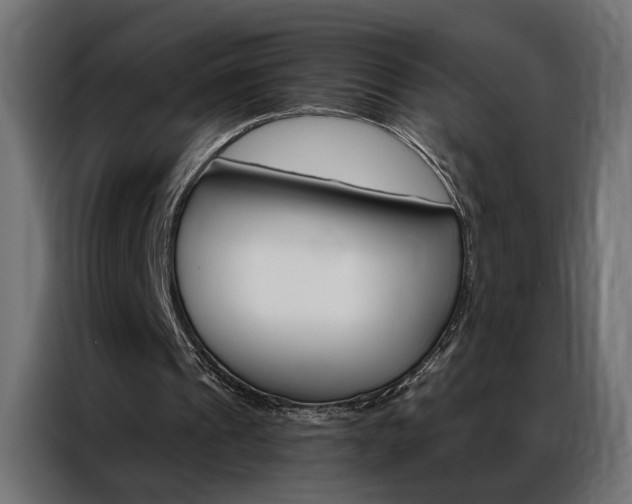 X0000086950241200704161103