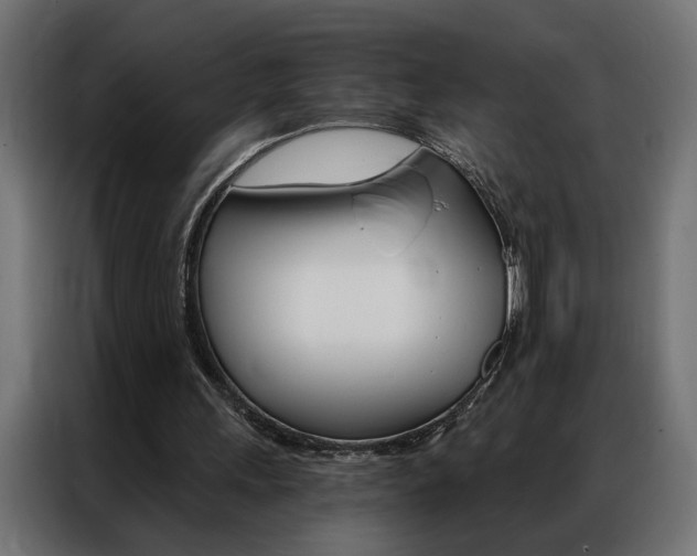 X0000086950243200704161103