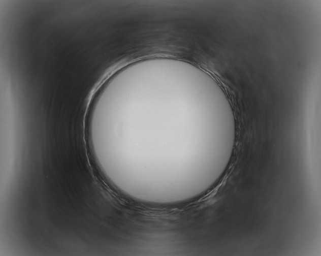 X0000086950244200704161103