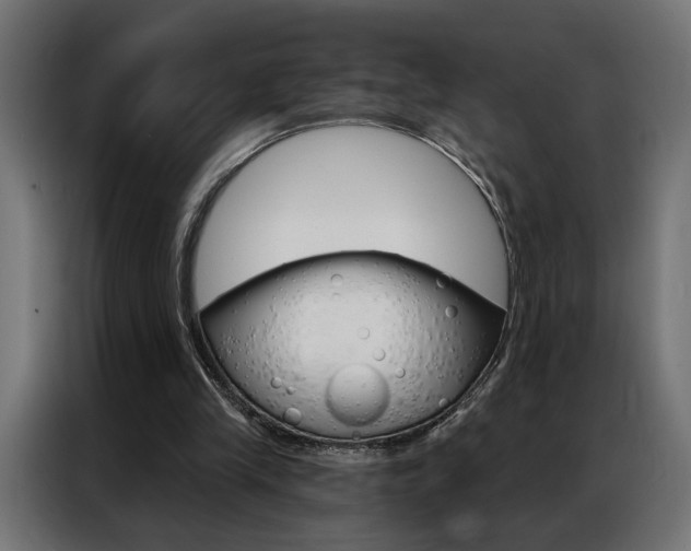 X0000086950245200704161103
